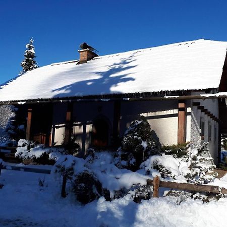 Villa Chalet Zala Kranjska Gora Exterior foto